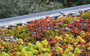 the cost of Thrushelton green roof installation