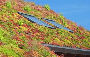 Thrushelton living roof systems