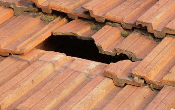 roof repair Thrushelton, Devon