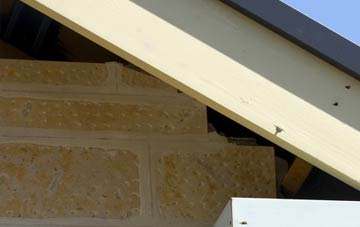 soffit repair Thrushelton