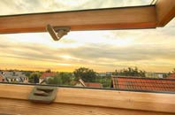 rated Thrushelton roof window companies